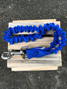 Bungee Leash