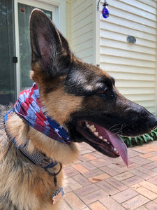 Best Friend Shield Bandana