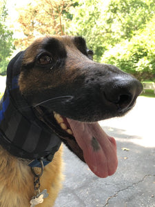 Best Friend Shield Bandana